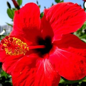 Meet your Posher, Esther